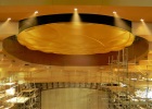 Ziff Ballet Opera House, Ceiling
